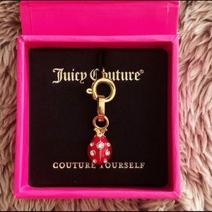 🐞 Ladybug Charm 🐞